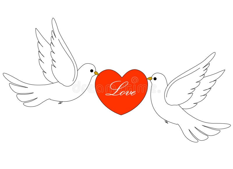 Как нарисовать двух голубей