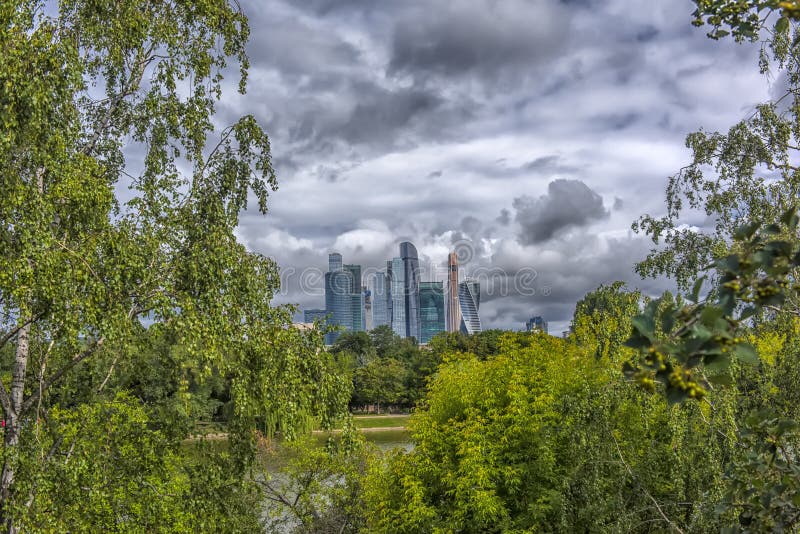 Деревья Москвы Листья Фото