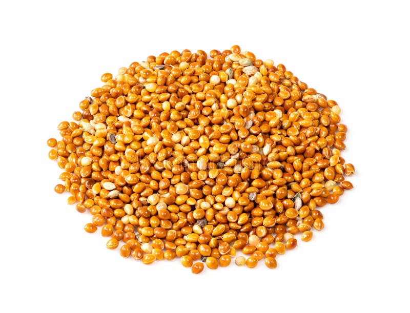 горстка зерна просо на белом Стоковое Изображение - изображение  насчитывающей семя, органическо: 218418641