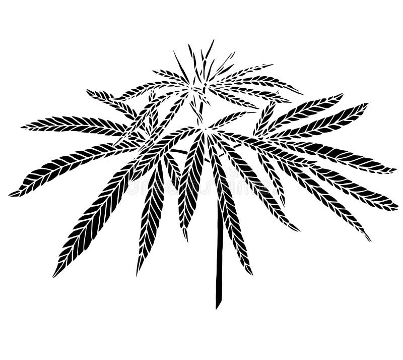 Трафареты листьев марихуаны legalrc tor browser вход на гидру