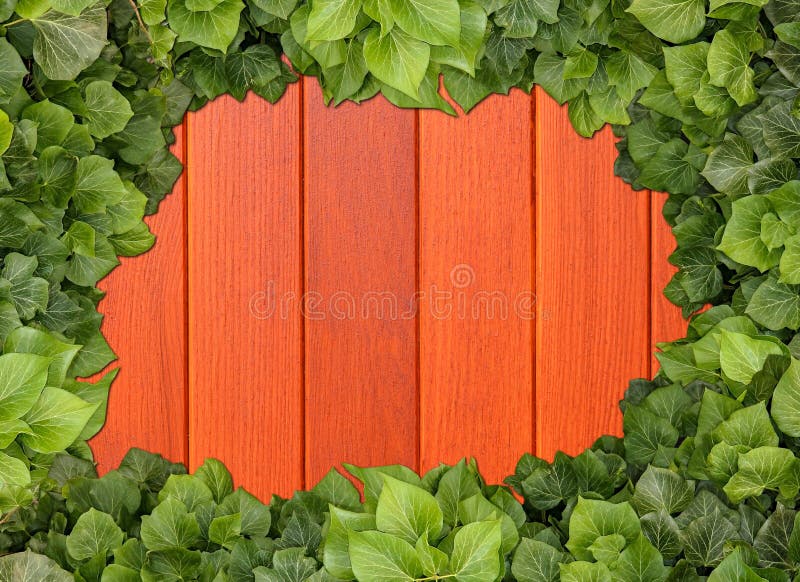 Деревянный фон стоковое фото. изображение насчитывающей трава - 163528154