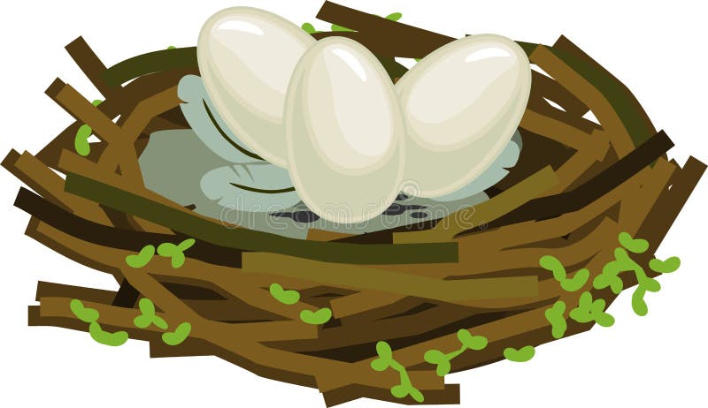Cartoon Bird Nest with Eggs Stock Vector - Illustration of background, fauna: 207219291 Cartoon Bird Nest with Eggs Stock Vector - Illustration of background, fauna: 207219291