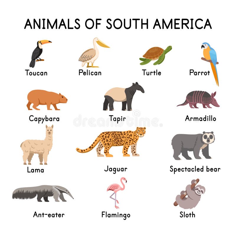 South American Animals Stock Illustrations – 338 South American Animals Stock Illustrations, Vectors & Clipart - Dreamstime South American Animals Stock Illustrations – 338 South American Animals Stock Illustrations, Vectors & Clipart - Dreamstime