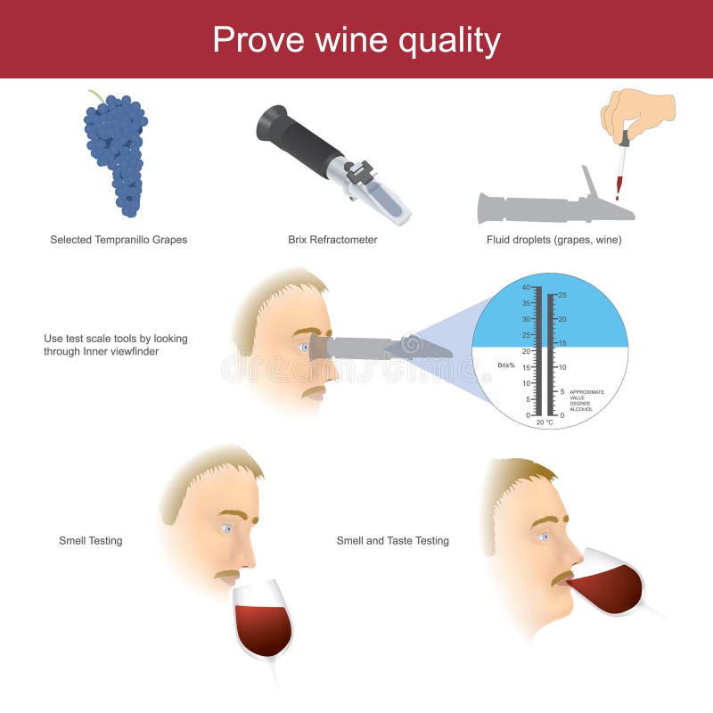 Test Wine. Wine Testing poster.