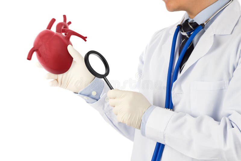 Врач держит сердце в руках. Кардиология заболевания список. Врачей которые сердце проверяют вот такие штучки ставят. Название врача по легким