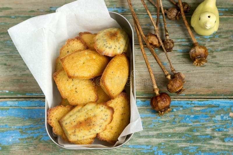 Poppy Seed cookies