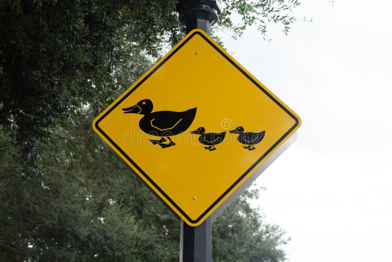 Знак с утками. Желтая утка символ протеста. Что обазночает знак жёлтый с утками.