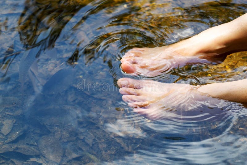Ноги в реке