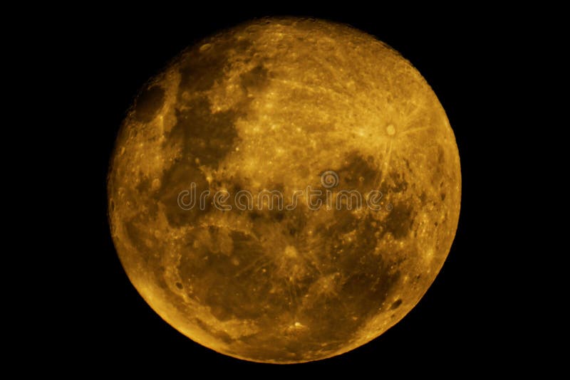 Луна как желтый медведь. Желтая Луна. Желтая Луна фото. Шаблон желтой Луны. Волки и большая желтая Луна.