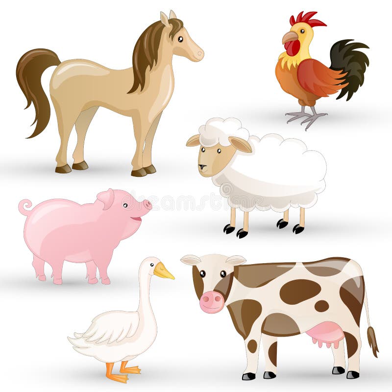 Петух корова лошадь. Корова собака кошка лошадь вектор. Корова свинья овца и петух. Корова Овечка и курица. Курица корова собака кошка и свинья.