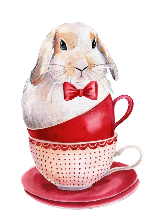 Кролик с кофе рисунок