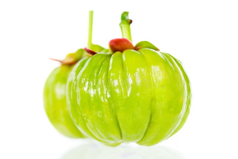 Garcinia atroviridis