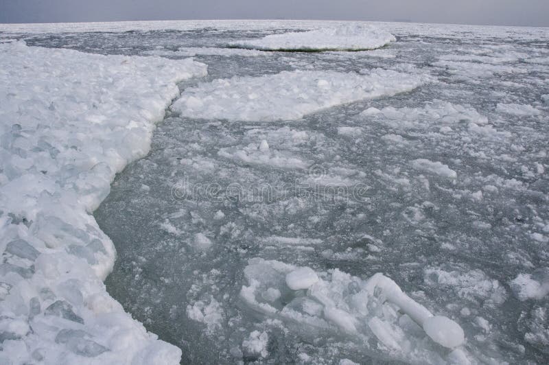 На льдах какого залива обитают белые. Ледяное сало. Ледяное сало в море. Ледяные Торосы на финском заливе. Ледяное сало и снежура.
