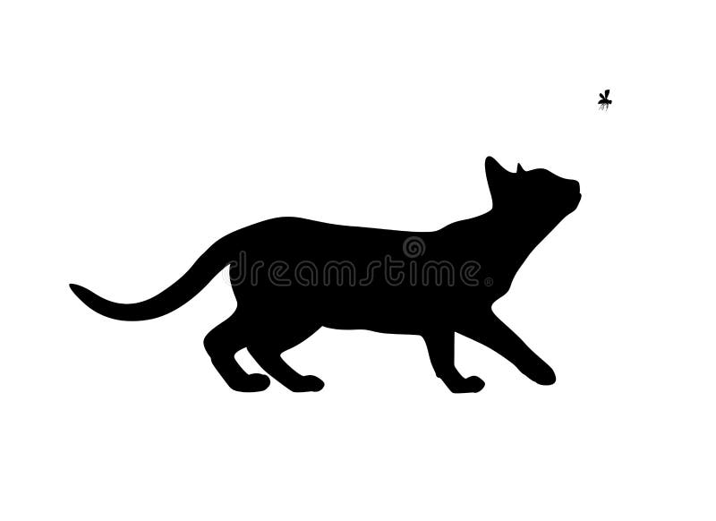 Задвижка кота муха, черный силуэт Иллюстрация вектора - иллюстрации  насчитывающей силуэт, муха: 90478465