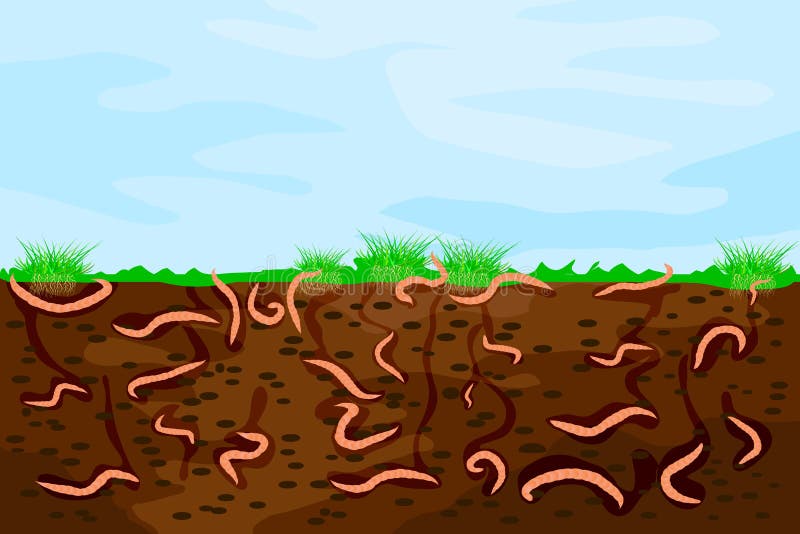 Червь трава. Почва вектор. Индикатор увлажнения почвы червячок.