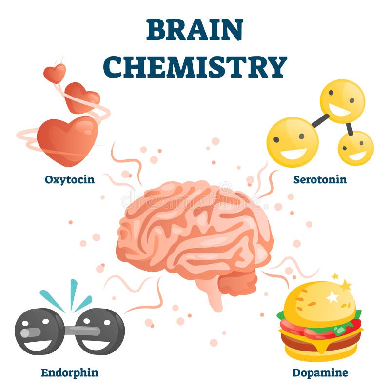 Эндорфин энди. Серотонин и Эндорфин. Химия мозга. Химические вещества счастья. Химия мозга гормоны.