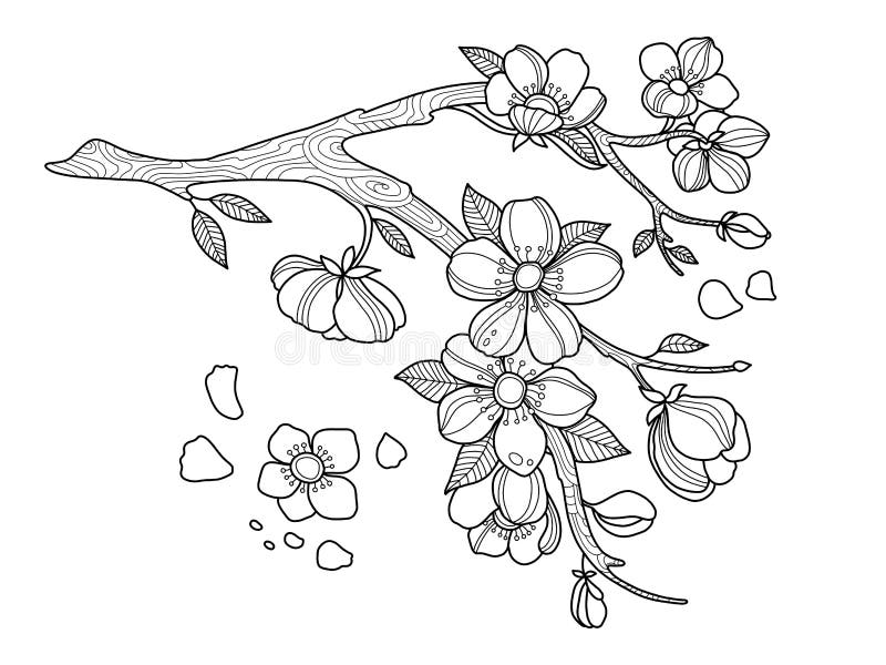 Как нарисовать ветку яблони с цветами