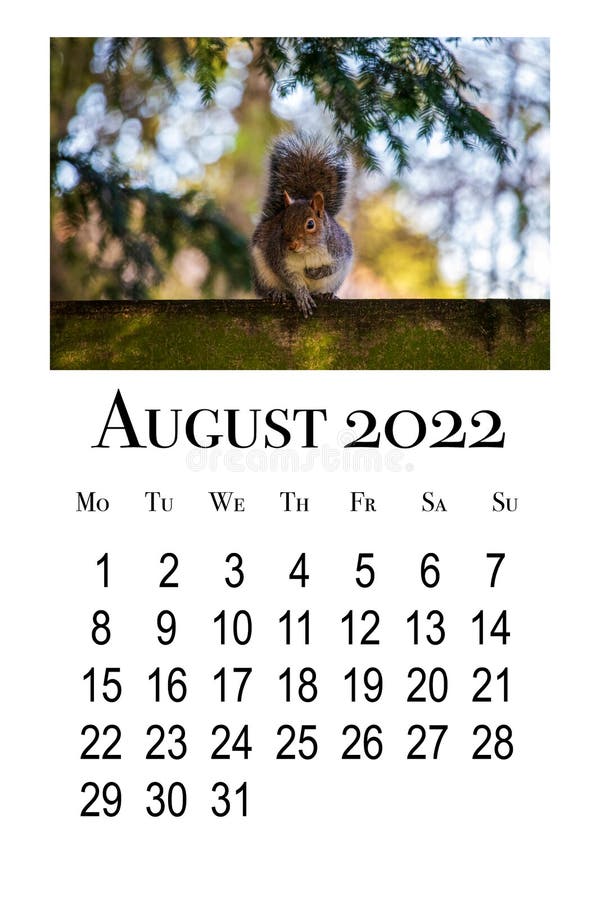 Август 2022 Фото