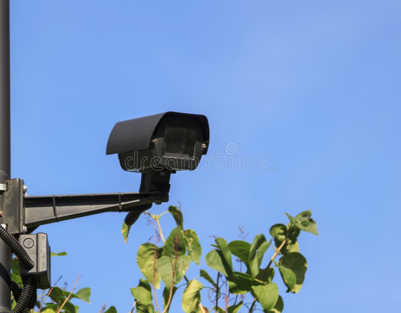 Video Surveillance around the Perimeter of the Territory рисунок.