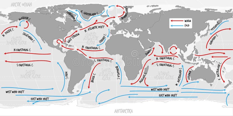 карта мира океанского течения с названиями Иллюстрация вектора -иллюстрации насчитывающей земля, океан: 222143664