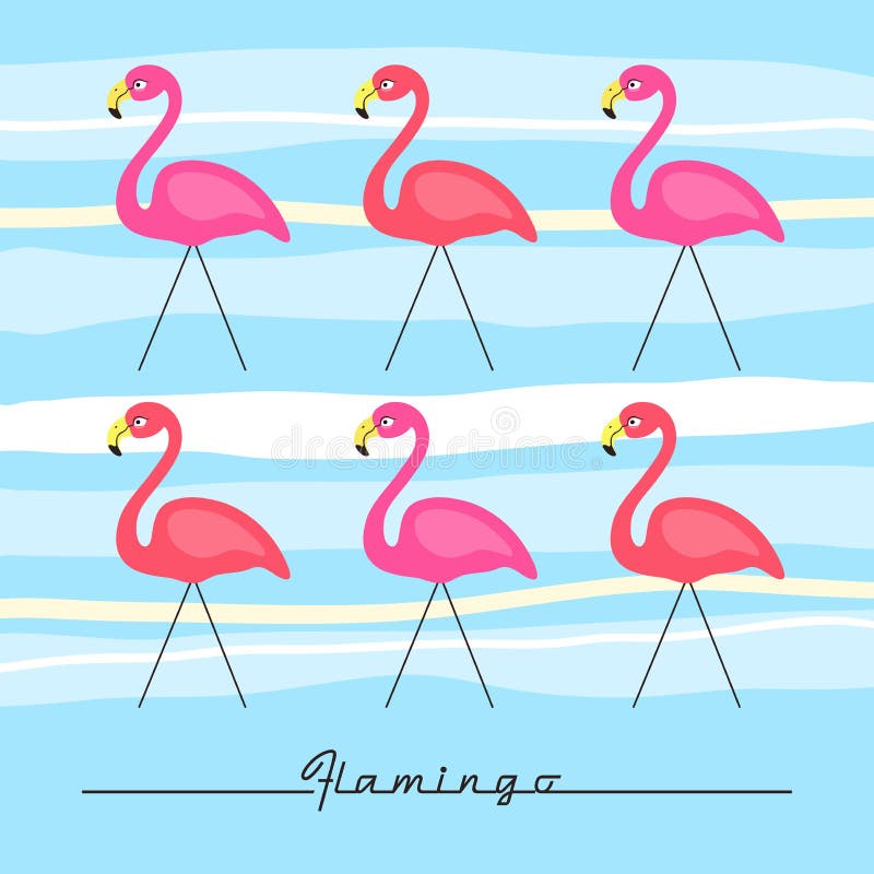 Карты фламинго
