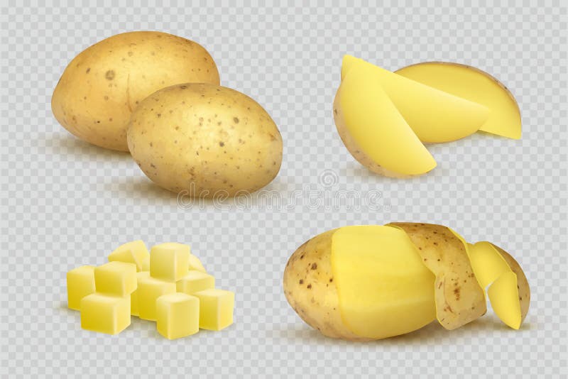 Вектор картофель характеристика. Картофель вектор. Картофель вектор x,. Фрибокс картофель вектор. Две картофелины вектор.