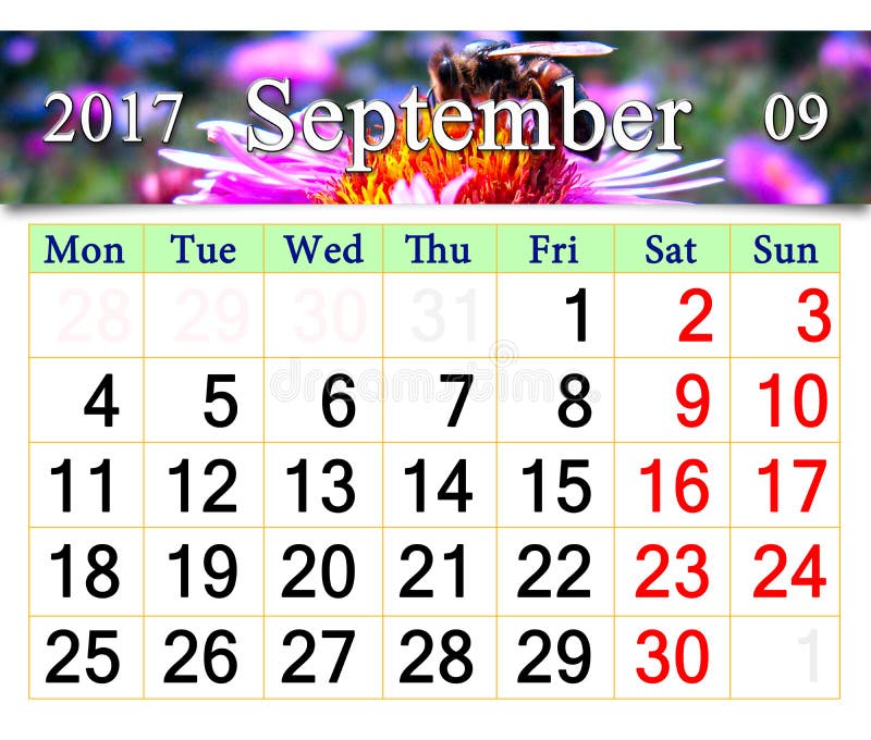 Календарь на сентябрь 2017 с желтыми листьями Стоковое Фото - изображение  насчитывающей знак, свеже: 80228612