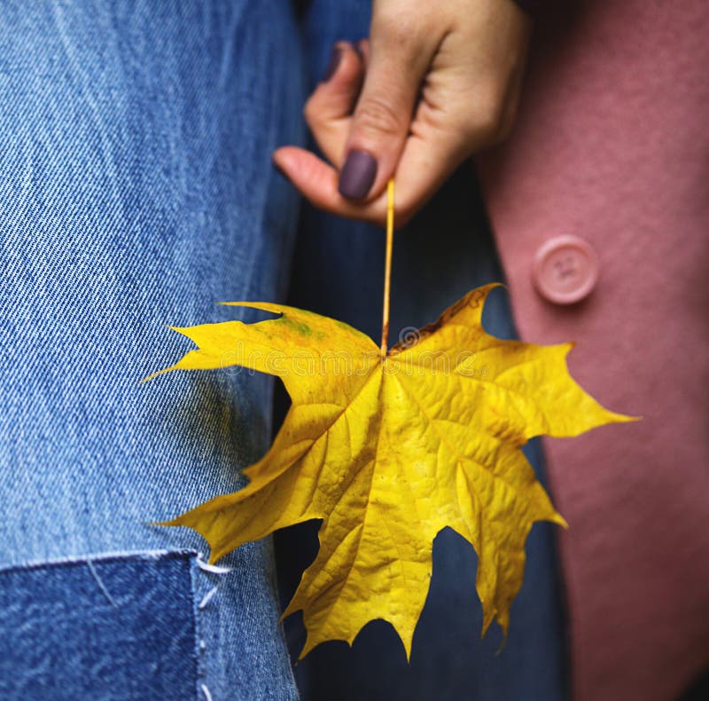 Download wallpaper 2763x3684 leaf, maple, hand, autumn, fallen, yellow hd backgr