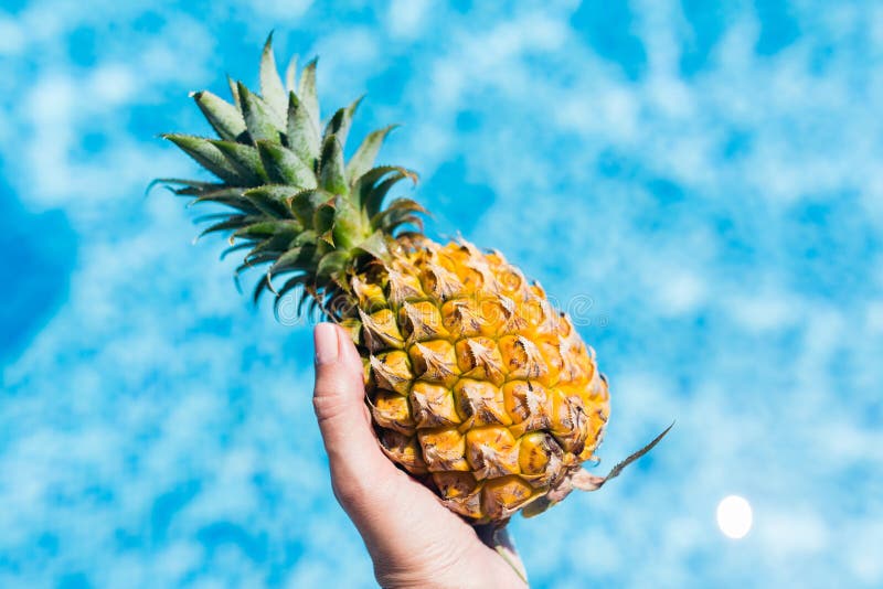 Pineapple РІ РІРѕРґРµ