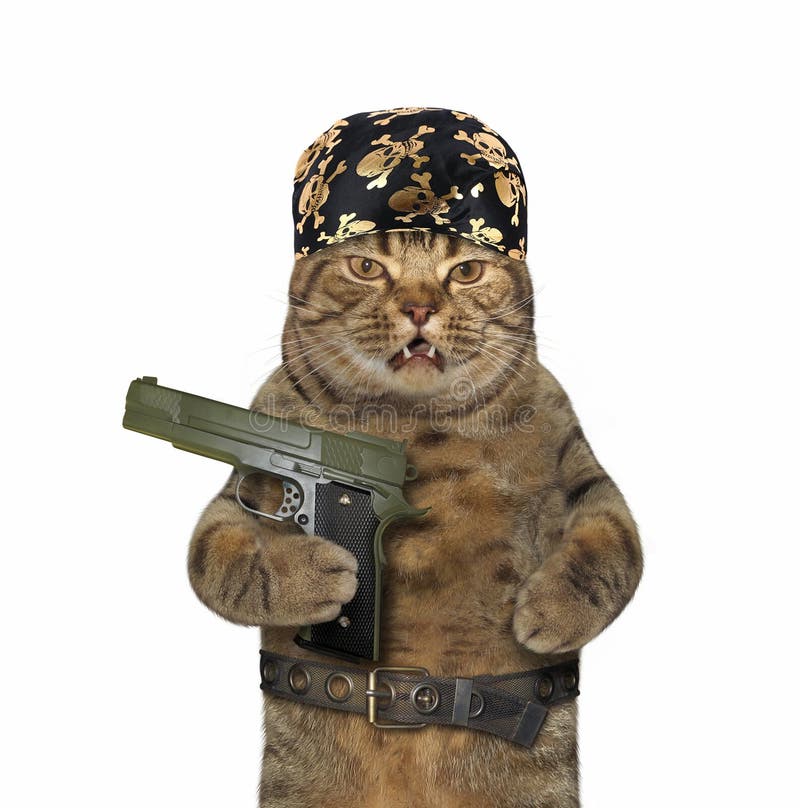 %D0%BA%D0%BE%D1%82-%D0%B2-bandana-%D0%B4%D0%B5%D1%80%D0%B6%D0%B8%D1%82-%D0%BE%D1%80%D1%83%D0%B6%D0%B8%D0%B5-%D0%BF%D0%B8%D1%80%D0%B0%D1%82%D0%B0-%D0%B8-%D0%BF%D0%BE%D1%8F%D1%81%D0%B5-%D0%BC%D0%B5%D1%82%D0%B0%D0%BB%D0%BB%D0%B0-%D0%B1%D0%BE%D0%BB%D1%8C%D1%88%D0%BE%D0%B5-o-153952773.jpg