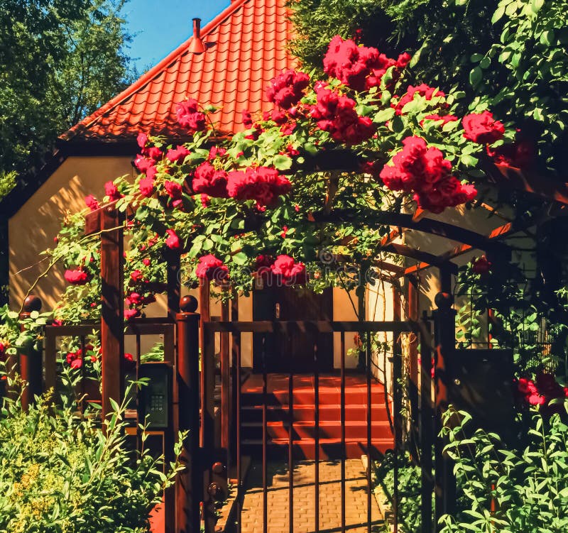 Цвет Зеленый Сад Фото