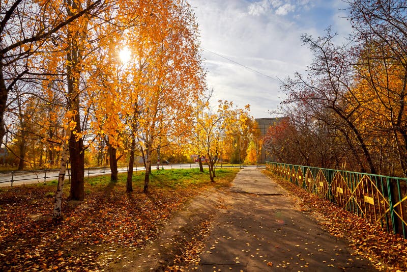 Красивый Осенний День Фото