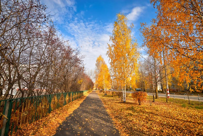 Красивый Осенний День Фото