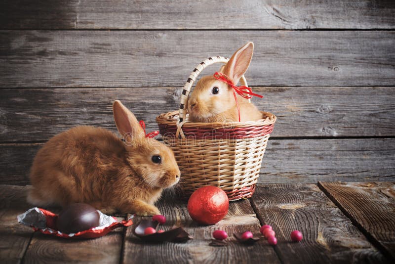 White Rabbit шоколадные кролики