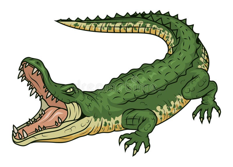 рисунок крокодила