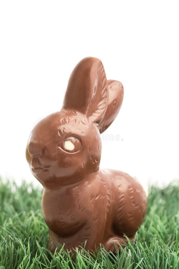 White Rabbit шоколадные кролики