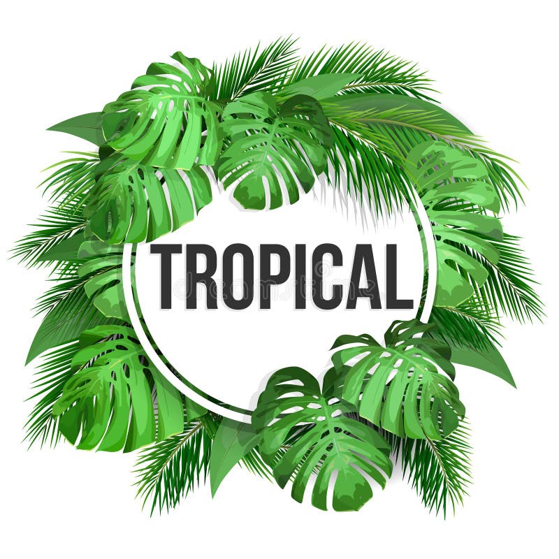 Тропические листья рамка. Лейбл Tropical.