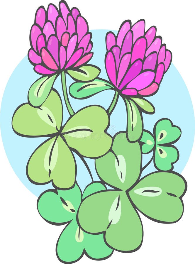 Как рисовать клевер