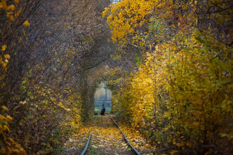 Ландшафт дороги падения осени - реальные деревья прокладывают тоннель,  красивые осенние цвета, солнечный день Железнодорожные рел Стоковое Фото -  изображение насчитывающей природа, ландшафт: 113389204