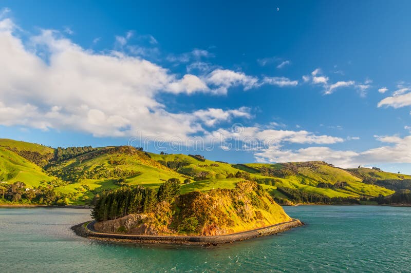 Otago Peninsula новая Зеландия