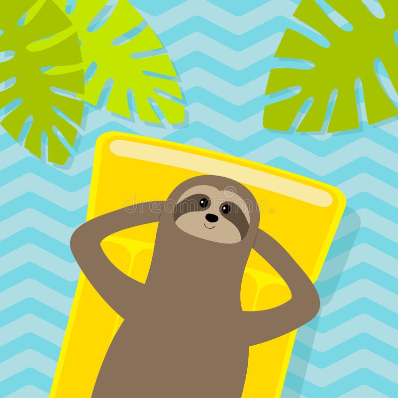 Летняя лень. Ленивец плавает в бассейне иллюстрация. Ленивец плавает на круге. Ленивцы быстро плавают.
