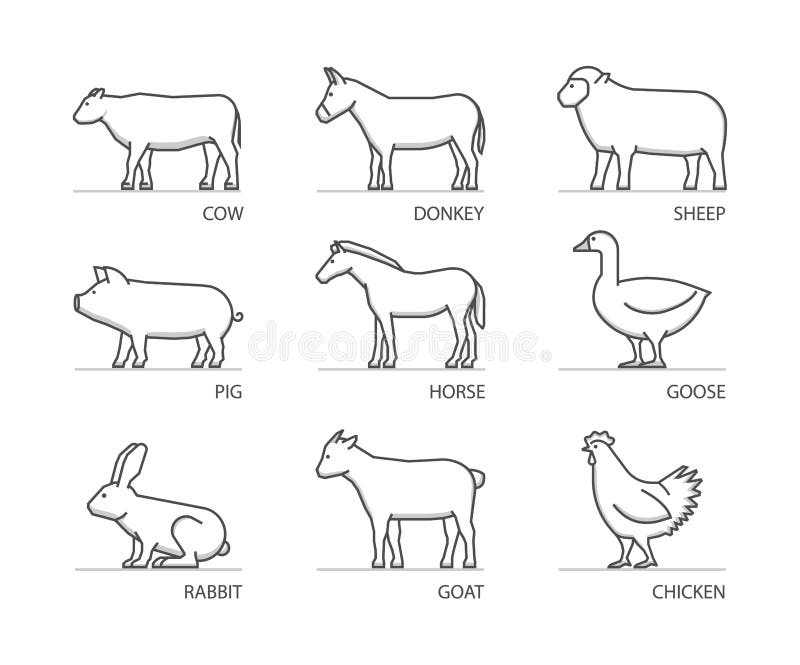 Какое животное попросил. Контуры сельскохозяйственных животных. Векторные изображения коров и коз. Раскраски кони коровы овечки свиньи. Лошади коровы овцы раскраска.