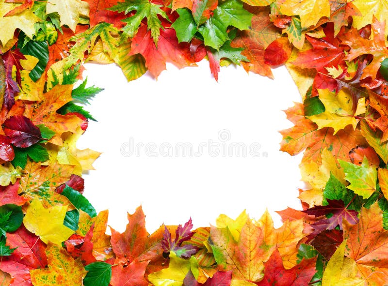 Halloween frames, Frame, Autumn leaves