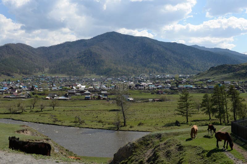 Картинки ЧОЯ