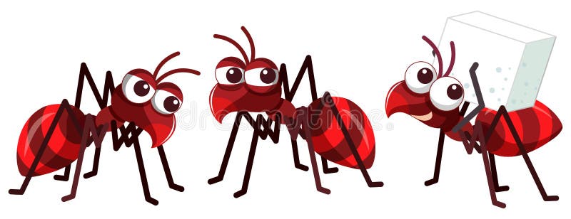 Муравей лось. Муравей на белом фоне. Муравей вектор. Красный муравей паук. Красный муравей на белом фоне.