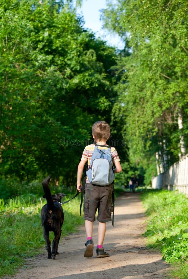 Мальчишки гуляют. Мальчик гуляет. Мальчик с собакой в парке. Картина мальчик гуляет. Мальчик гуляет с собакой в парке.