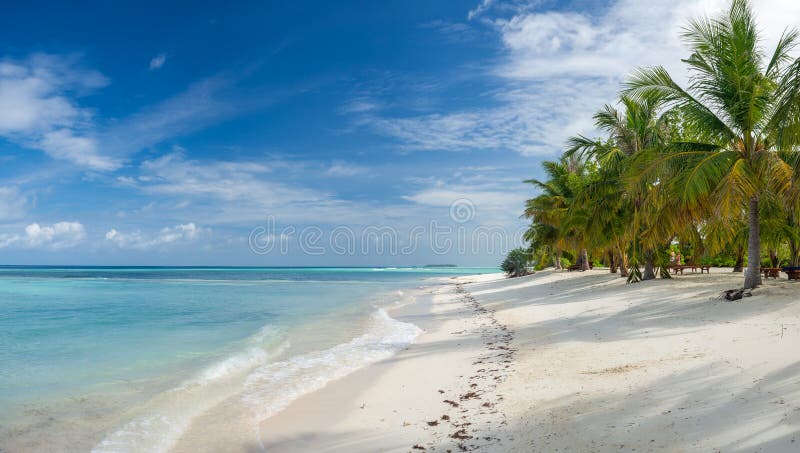 мальдивы тропические острова панорамный пейзаж идиллический пляж пальма растительность и чистая вода индийский океан морской курор Стоковое Фото - изображение насчитывающей ослабьте, ландшафт: 219375652
