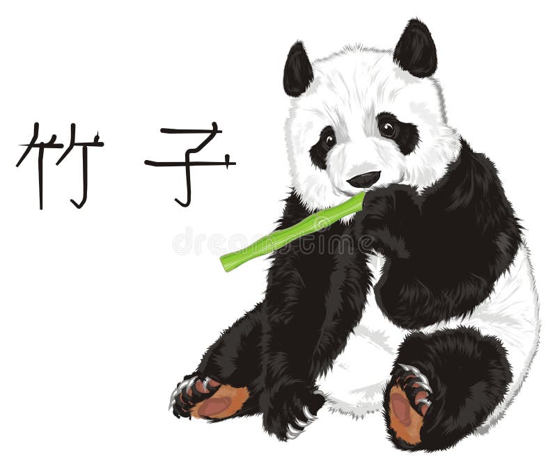 Панда собирает в круг ремикс. Панда сидит спиной. Тату Панда сидит на дереве. Как нарисовать сидящую панду. Эскиз бамбук с пандой на балкон.