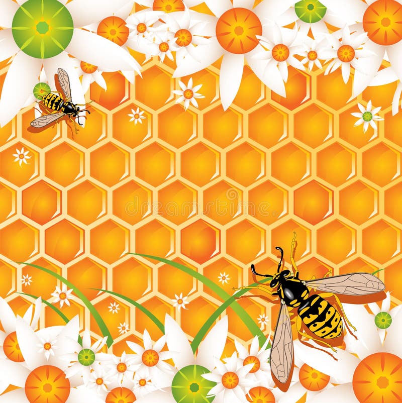 Рисунок соты пчелиные цветные