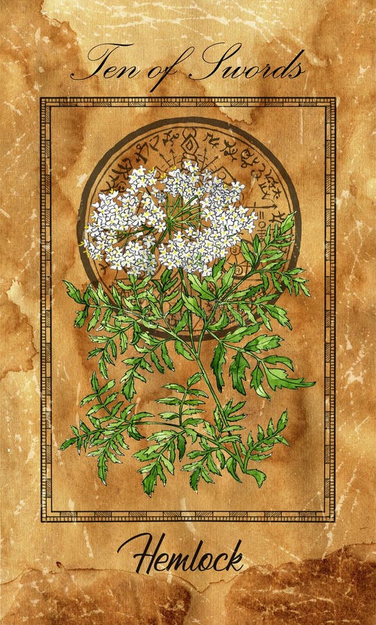 10 Мечей. Небольшая карта Tarot тайны с Hemlock и волшебным печатьюСтоковое Фото - изображение насчитывающей ведущего, хэллоуин: 182449800